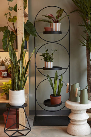 Kassara Plant Stand