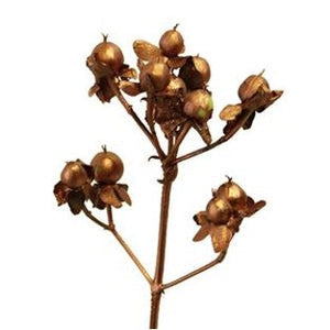 Stems In Bulk: Bronze Designer Hypericum Berries Enhanced