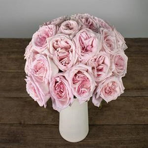 Stems In Bulk: Garden Rose Soft Pink Ohara