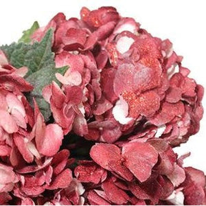 Stems In Bulk: Glitzy Red Airbrushed Hydrangea