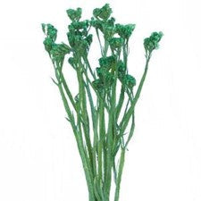 Stems In Bulk: Statice Filler Flower Tinted Emerald Green