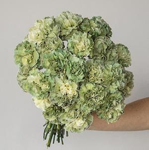 DIY wedding flowers | Cheap wedding bouquet | DIY wedding bouquet | For sale wedding flowers | DIY flower centerpieces | DIY wedding centerpieces | DIY cheap | Cheap florist Louisville KY | Wedding florist Louisville KY | Wedding florist near me | Florist near me