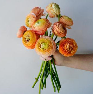 DIY wedding flowers | Cheap wedding bouquet | DIY wedding bouquet | For sale wedding flowers | DIY flower centerpieces | DIY wedding centerpieces | DIY cheap | Cheap florist Louisville KY | Wedding florist Louisville KY | Wedding florist near me | Florist near me