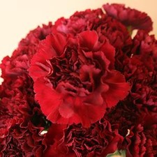 DIY wedding flowers | Cheap wedding bouquet | DIY wedding bouquet | For sale wedding flowers | DIY flower centerpieces | DIY wedding centerpieces | DIY cheap | Cheap florist Louisville KY | Wedding florist Louisville KY | Wedding florist near me | Florist near me