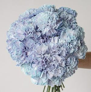 DIY wedding flowers | Cheap wedding bouquet | DIY wedding bouquet | For sale wedding flowers | DIY flower centerpieces | DIY wedding centerpieces | DIY cheap | Cheap florist Louisville KY | Wedding florist Louisville KY | Wedding florist near me | Florist near me