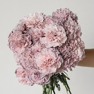 DIY wedding flowers | Cheap wedding bouquet | DIY wedding bouquet | For sale wedding flowers | DIY flower centerpieces | DIY wedding centerpieces | DIY cheap | Cheap florist Louisville KY | Wedding florist Louisville KY | Wedding florist near me | Florist near me