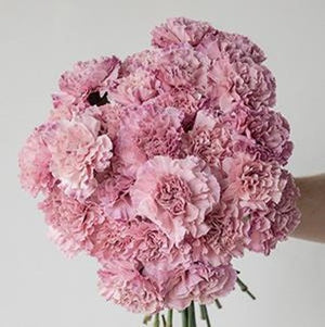 DIY wedding flowers | Cheap wedding bouquet | DIY wedding bouquet | For sale wedding flowers | DIY flower centerpieces | DIY wedding centerpieces | DIY cheap | Cheap florist Louisville KY | Wedding florist Louisville KY | Wedding florist near me | Florist near me