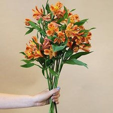 DIY wedding flowers | Cheap wedding bouquet | DIY wedding bouquet | For sale wedding flowers | DIY flower centerpieces | DIY wedding centerpieces | DIY cheap | Cheap florist Louisville KY | Wedding florist Louisville KY | Wedding florist near me | Florist near me